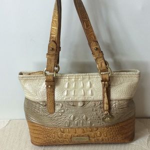 Brahmin tri-color Asher bag